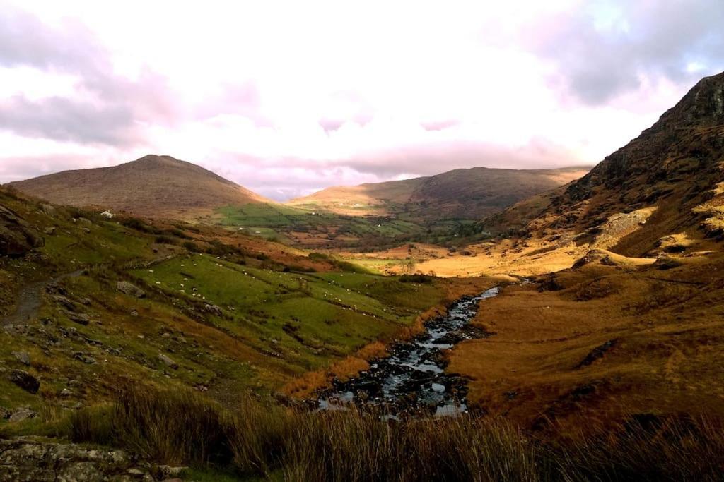Secluded Cottage Nestled In The Beara Peninsula Killarney Exterior foto